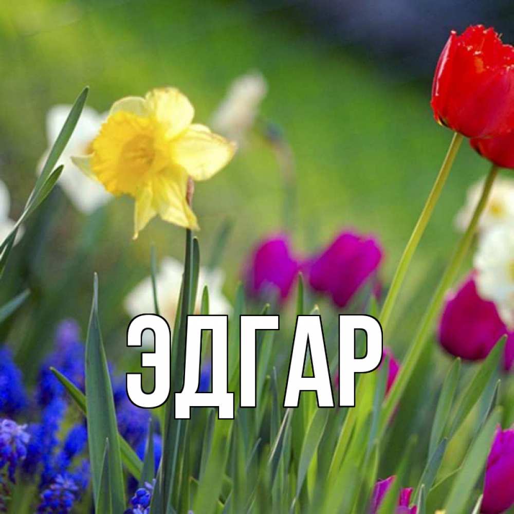 Открытка на каждый день с именем, Эдгар Главная международный женский день 3 Прикольная открытка с пожеланием онлайн скачать бесплатно 