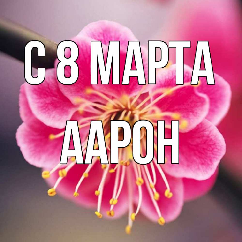Открытка на каждый день с именем, Аарон С 8 МАРТА цветы Прикольная открытка с пожеланием онлайн скачать бесплатно 