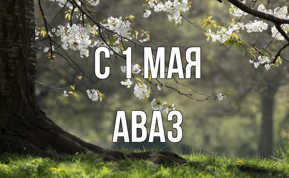 Открытка на каждый день с именем, Аваз С 1 мая С 1 мая Прикольная открытка с пожеланием онлайн скачать бесплатно 
