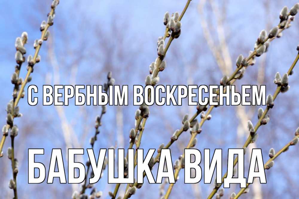 Открытка на каждый день с именем, Бабушка-Вида С вербным воскресеньем верба Прикольная открытка с пожеланием онлайн скачать бесплатно 