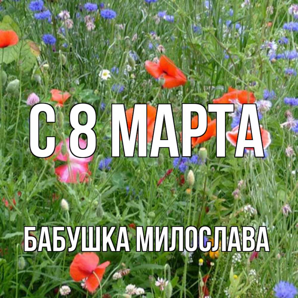Открытка на каждый день с именем, Бабушка-Милослава С 8 МАРТА международный женский день 4 Прикольная открытка с пожеланием онлайн скачать бесплатно 