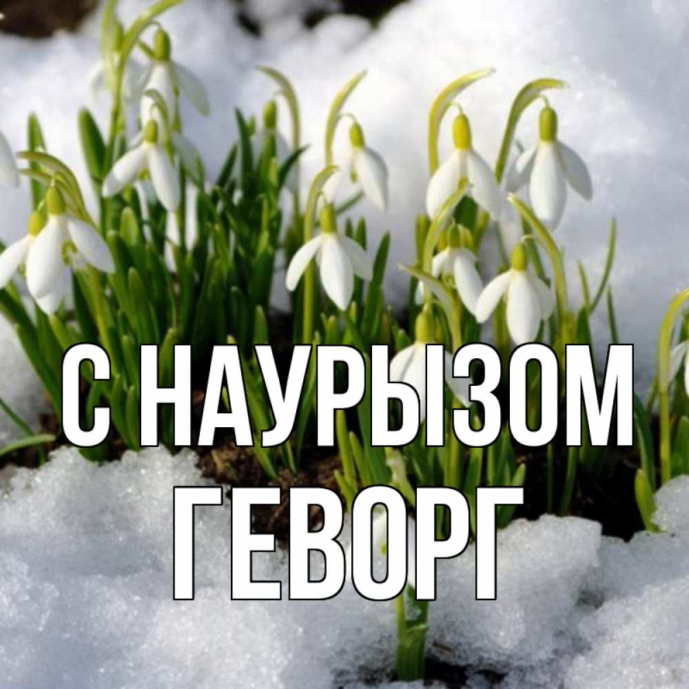 Открытка на каждый день с именем, Геворг С наурызом цветы весенние Прикольная открытка с пожеланием онлайн скачать бесплатно 