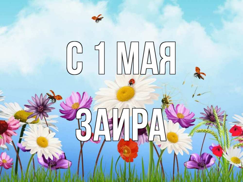 Открытка на каждый день с именем, Заира С 1 мая С 1 мая Прикольная открытка с пожеланием онлайн скачать бесплатно 