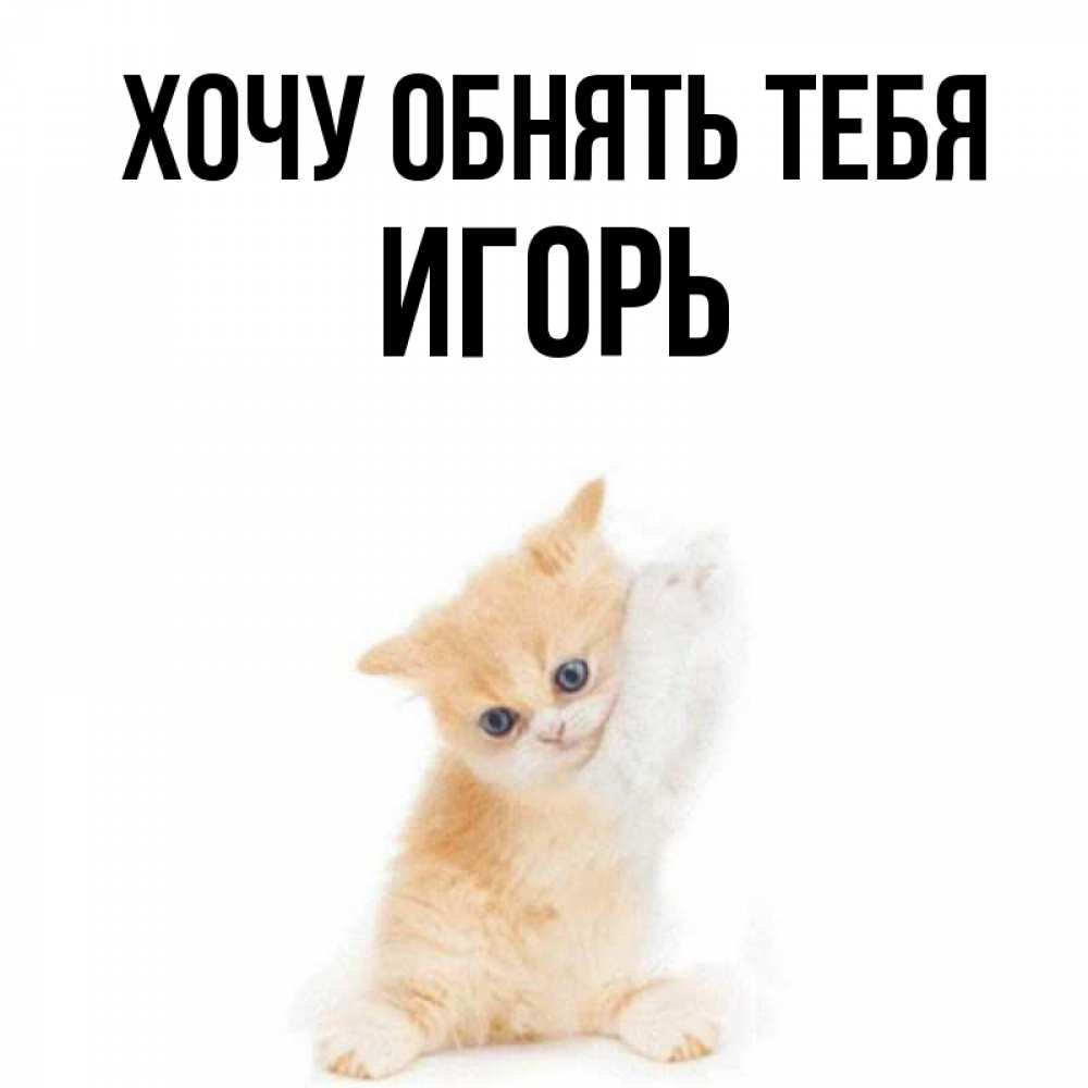 Открытка на каждый день с именем, Игорь Хочу обнять тебя я хочу очень скорее обнимаешек Прикольная открытка с пожеланием онлайн скачать бесплатно 