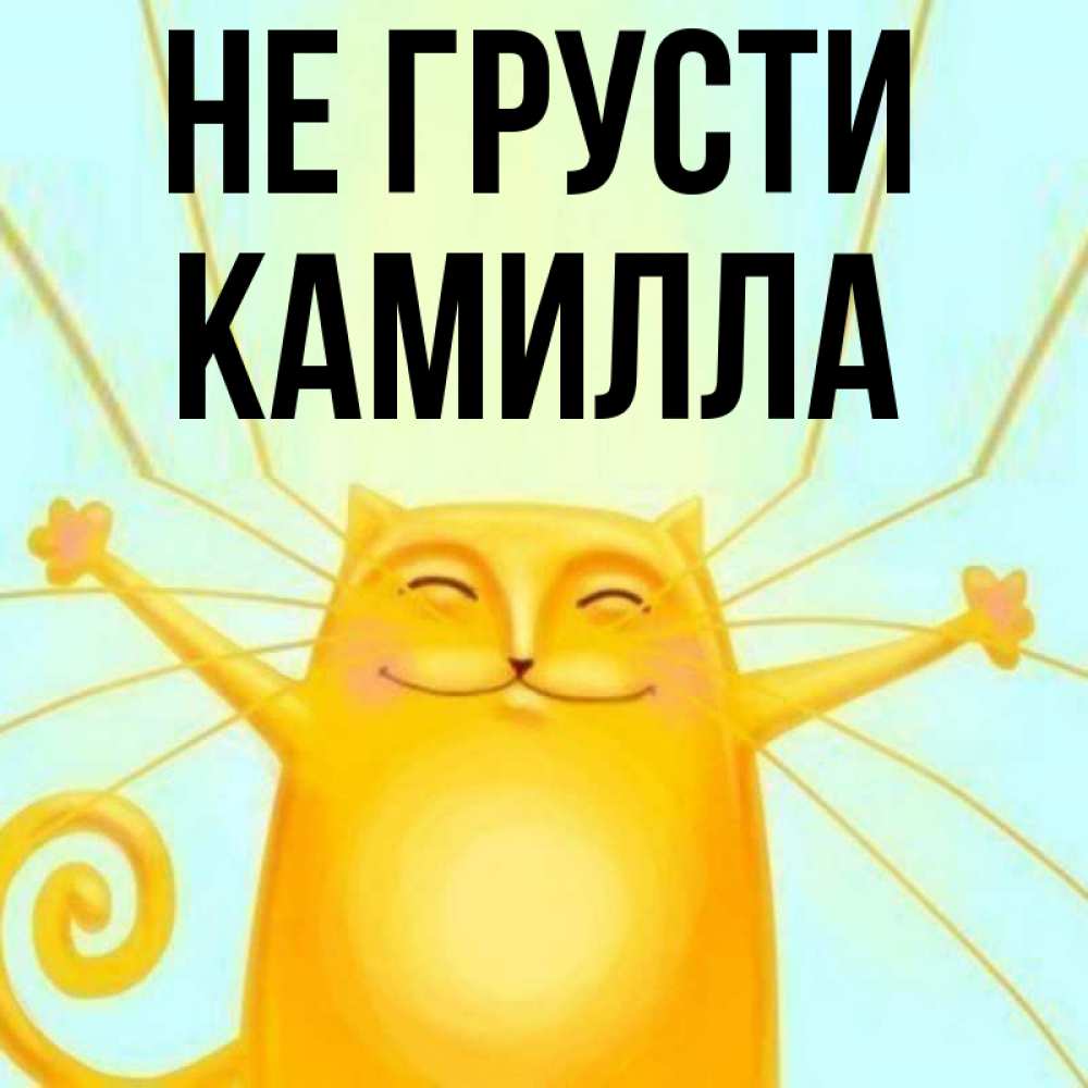 Открытка на каждый день с именем, Камилла Не грусти обнимашки усатые Прикольная открытка с пожеланием онлайн скачать бесплатно 
