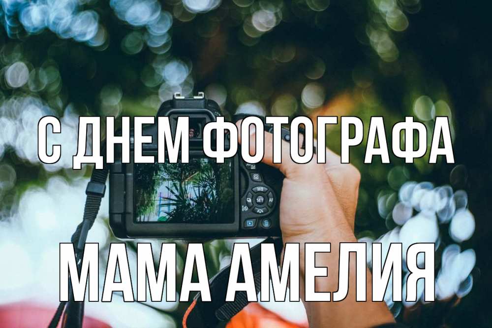 Открытка на каждый день с именем, Мама-Амелия С днем фотографа с днем фотографа Прикольная открытка с пожеланием онлайн скачать бесплатно 
