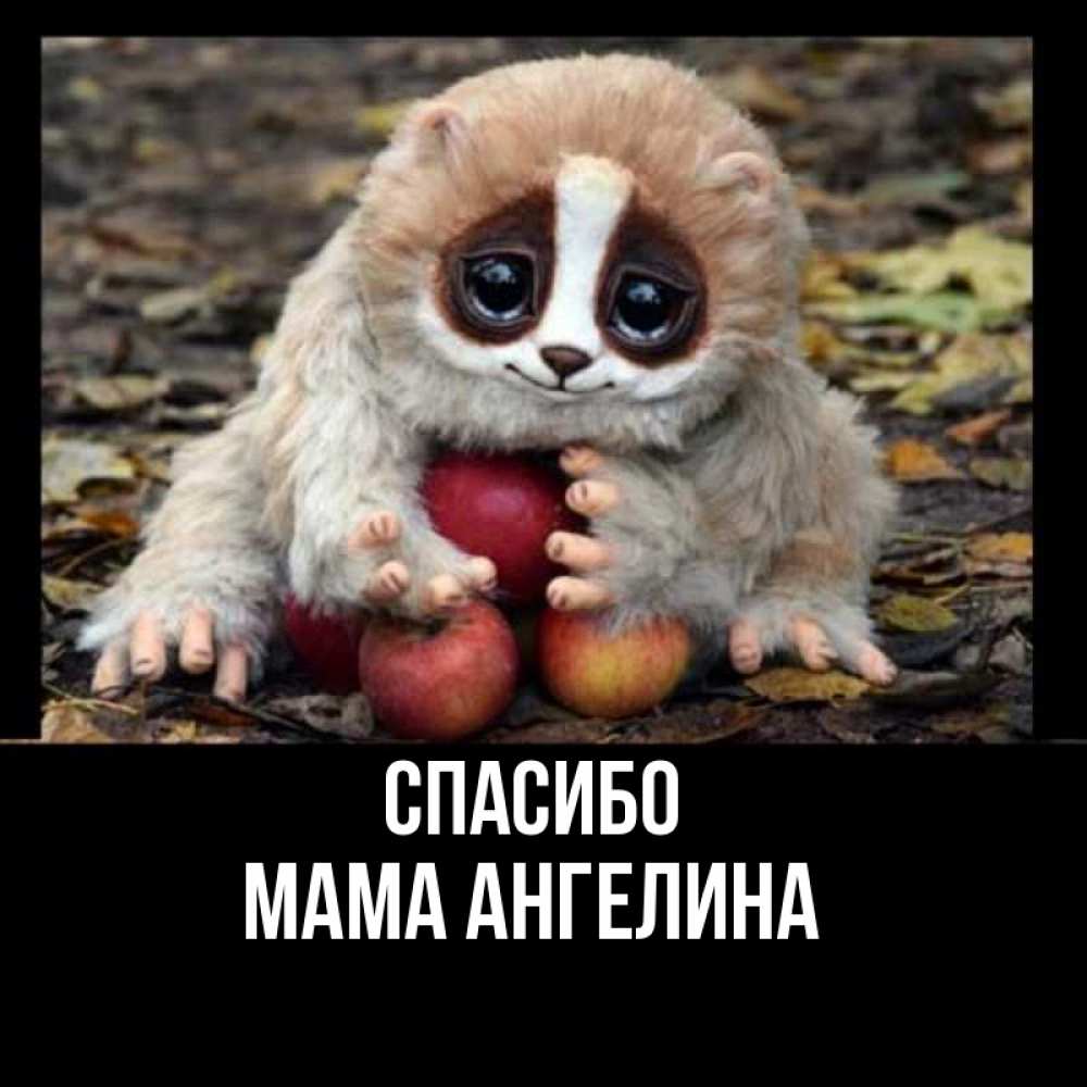 Открытка на каждый день с именем, Мама-Ангелина Спасибо прикольное животное Прикольная открытка с пожеланием онлайн скачать бесплатно 