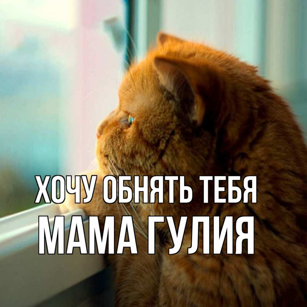 Открытка на каждый день с именем, Мама-Гулия Хочу обнять тебя большой огромный рыжий котяра Прикольная открытка с пожеланием онлайн скачать бесплатно 