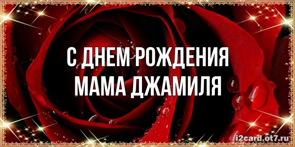 Открытка на каждый день с именем, Мама-Джамиля С днем рождения цветок в росе на день рождения Прикольная открытка с пожеланием онлайн скачать бесплатно 