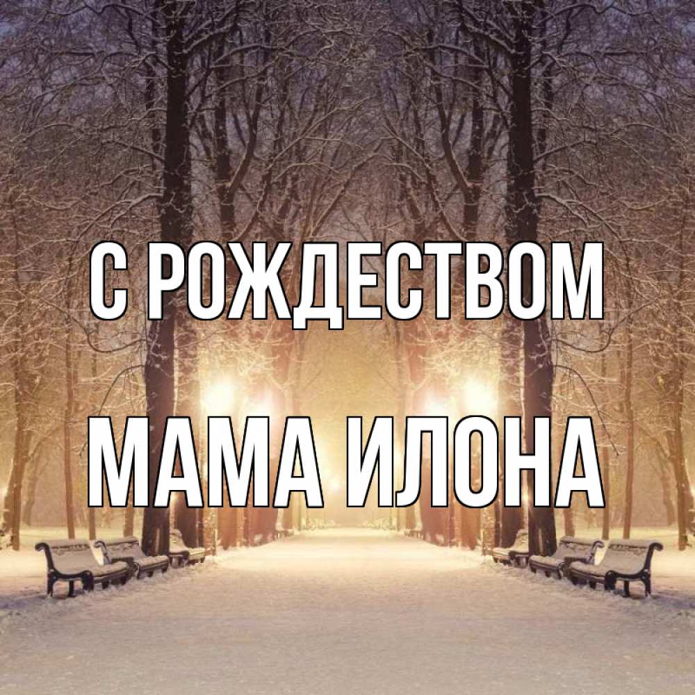 Открытка на каждый день с именем, Мама-Илона С рождеством зима, парк, фонарь, лес Прикольная открытка с пожеланием онлайн скачать бесплатно 