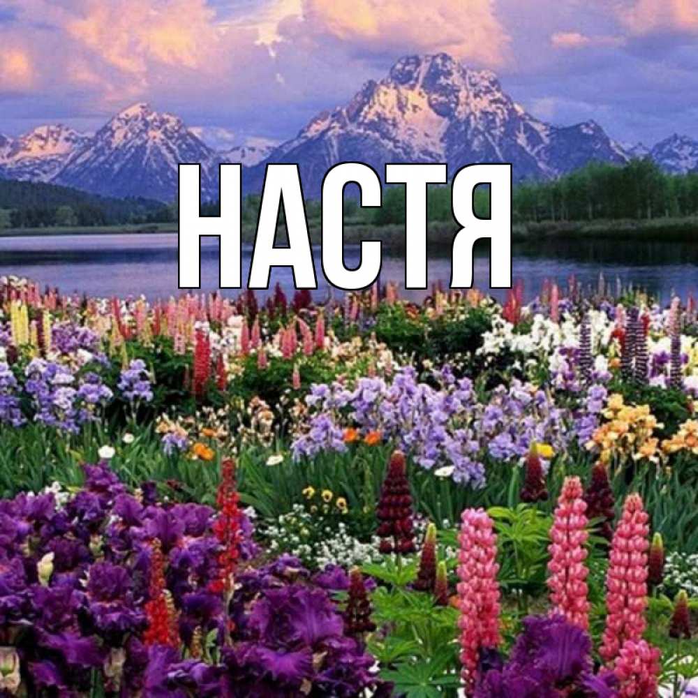 Открытка на каждый день с именем, Настя Главная наурыз Прикольная открытка с пожеланием онлайн скачать бесплатно 