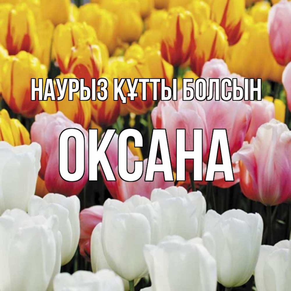 Открытка на каждый день с именем, Оксана Наурыз құтты болсын разноцветные цветы Прикольная открытка с пожеланием онлайн скачать бесплатно 