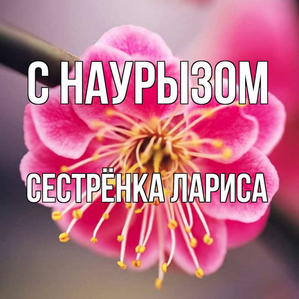 Открытка на каждый день с именем, Сестрёнка-Лариса С наурызом цветы Прикольная открытка с пожеланием онлайн скачать бесплатно 