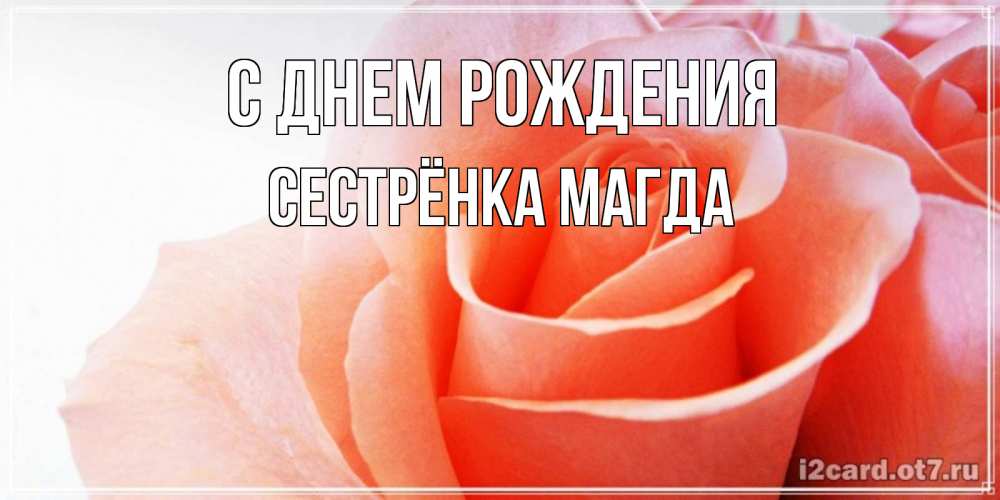 Открытка на каждый день с именем, Сестрёнка-Магда С днем рождения розы для поздравления с днем рождения Прикольная открытка с пожеланием онлайн скачать бесплатно 