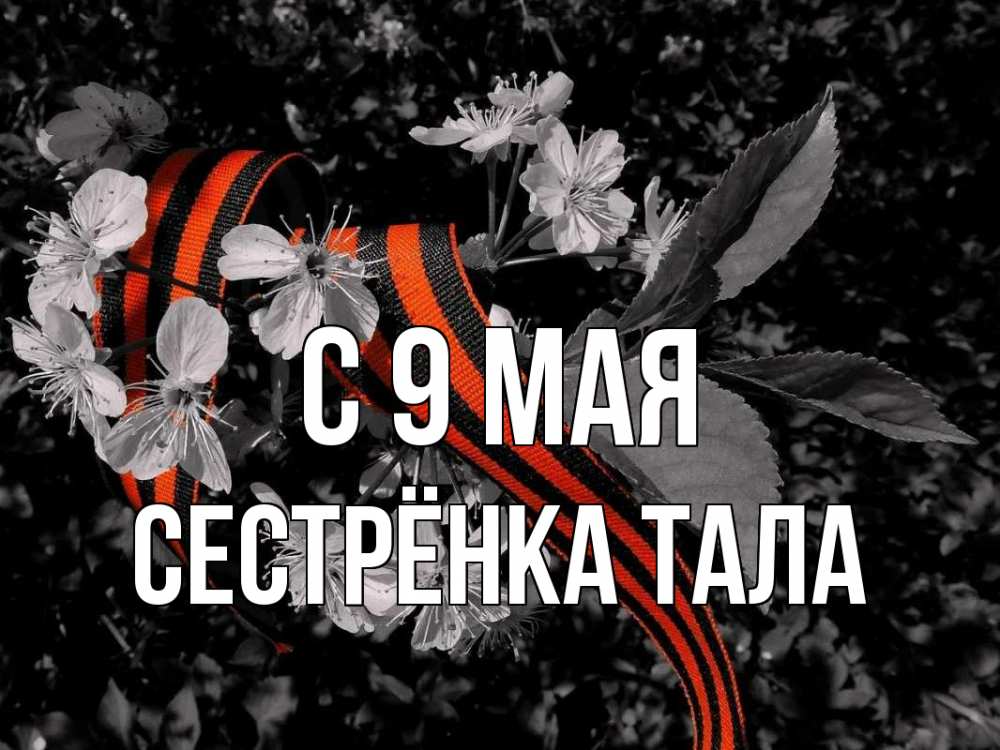 Открытка на каждый день с именем, Сестрёнка-Тала С 9 мая 9 мая Прикольная открытка с пожеланием онлайн скачать бесплатно 