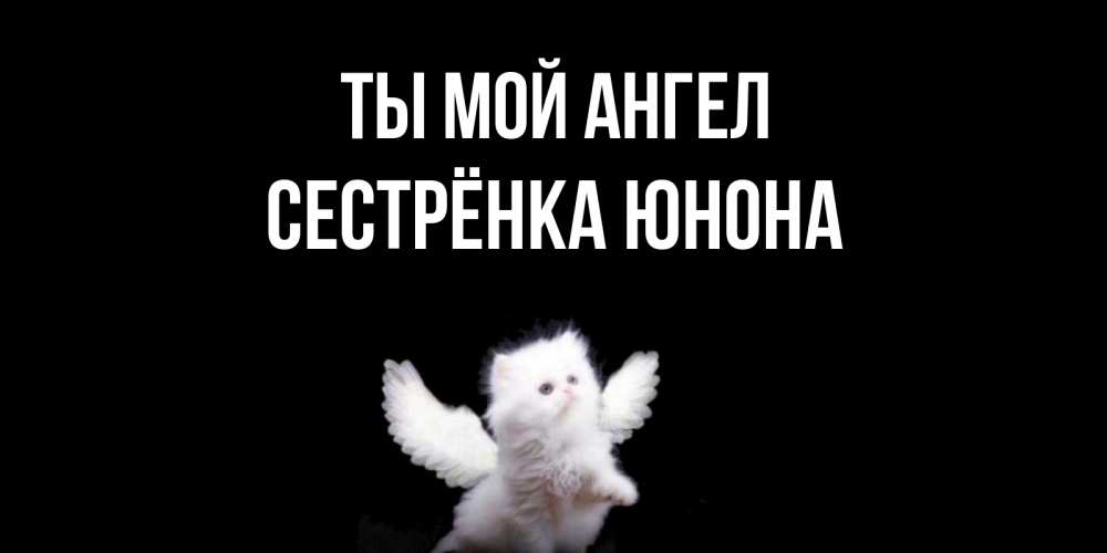 Открытка на каждый день с именем, Сестрёнка-Юнона Ты мой ангел Кот ангел Прикольная открытка с пожеланием онлайн скачать бесплатно 