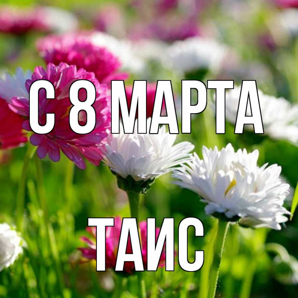 Открытка на каждый день с именем, Таис С 8 марта международный женский день 1 Прикольная открытка с пожеланием онлайн скачать бесплатно 