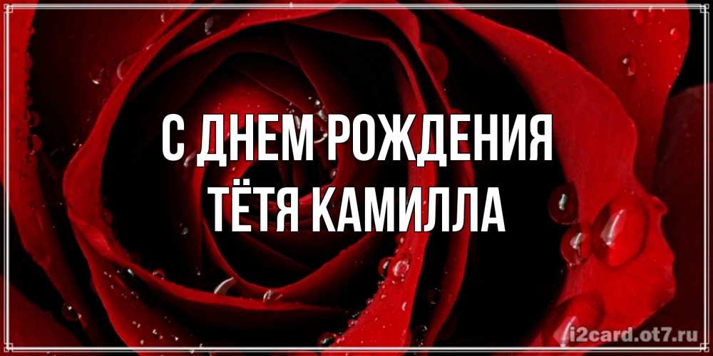 Открытка на каждый день с именем, Тётя-Камилла С днем рождения крупная бордовая роза Прикольная открытка с пожеланием онлайн скачать бесплатно 