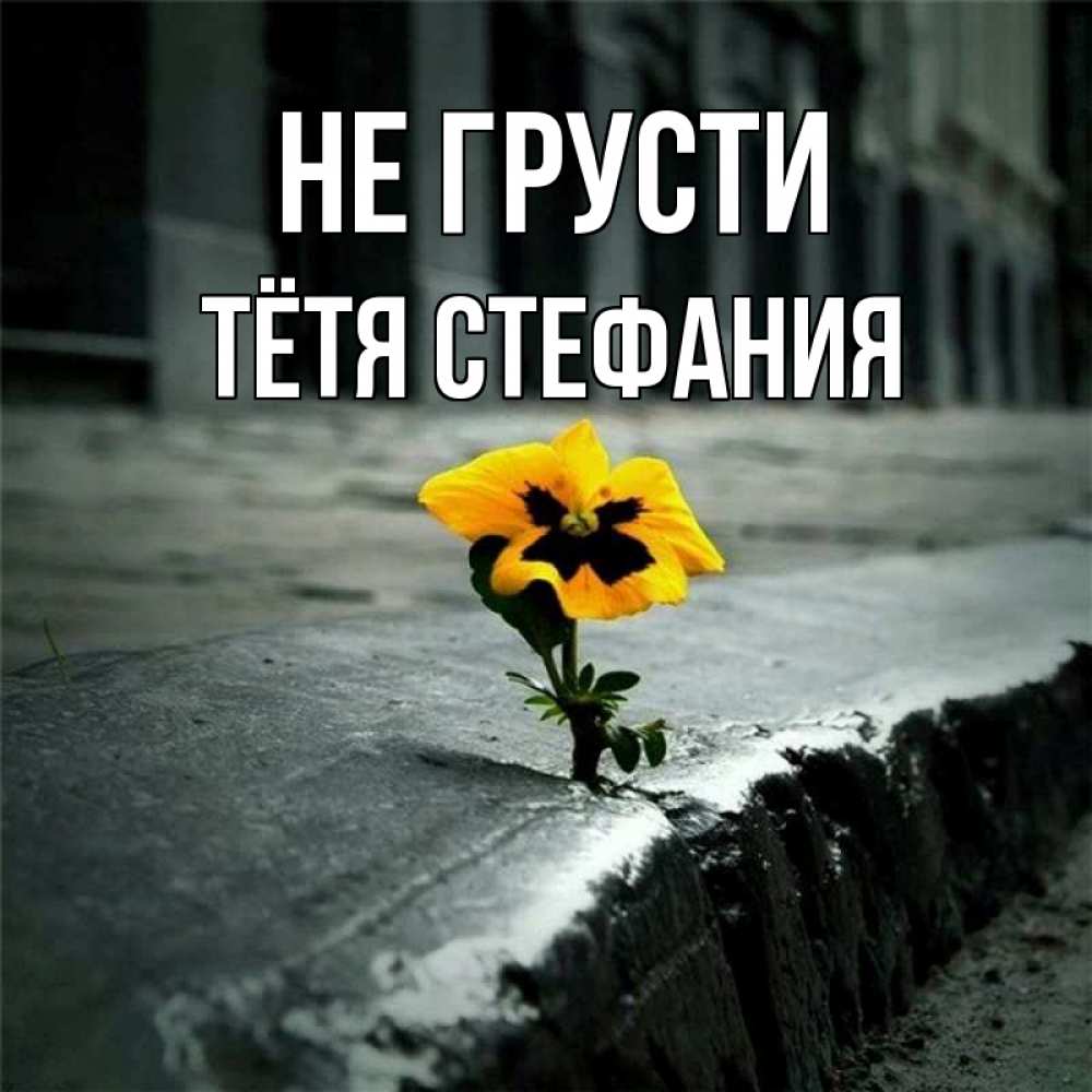 Открытка на каждый день с именем, Тётя-Стефания Не грусти не сдавайся Прикольная открытка с пожеланием онлайн скачать бесплатно 
