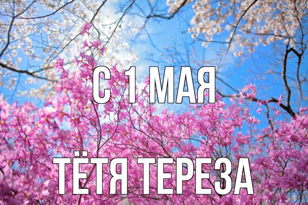 Открытка на каждый день с именем, Тётя-Тереза С 1 мая С 1 мая Прикольная открытка с пожеланием онлайн скачать бесплатно 