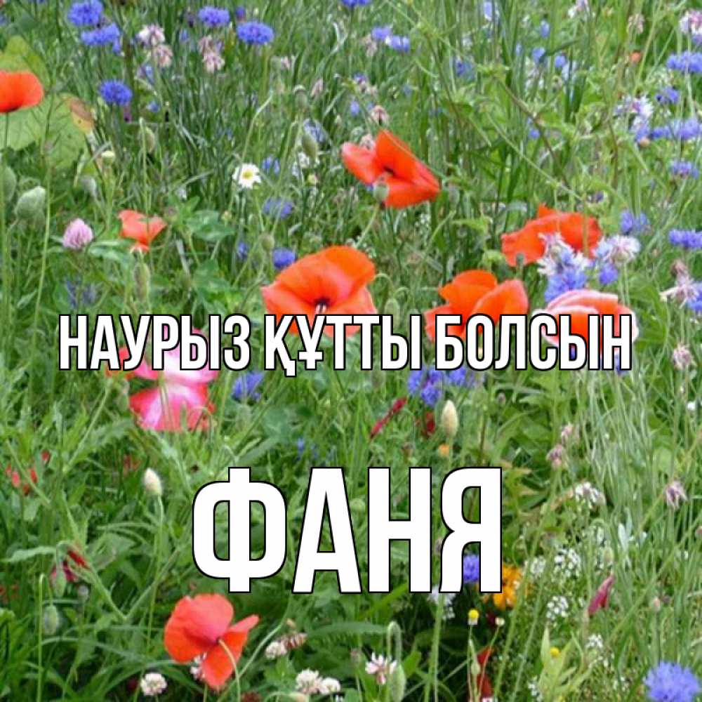 Открытка на каждый день с именем, Фаня Наурыз құтты болсын наурыз  4 Прикольная открытка с пожеланием онлайн скачать бесплатно 