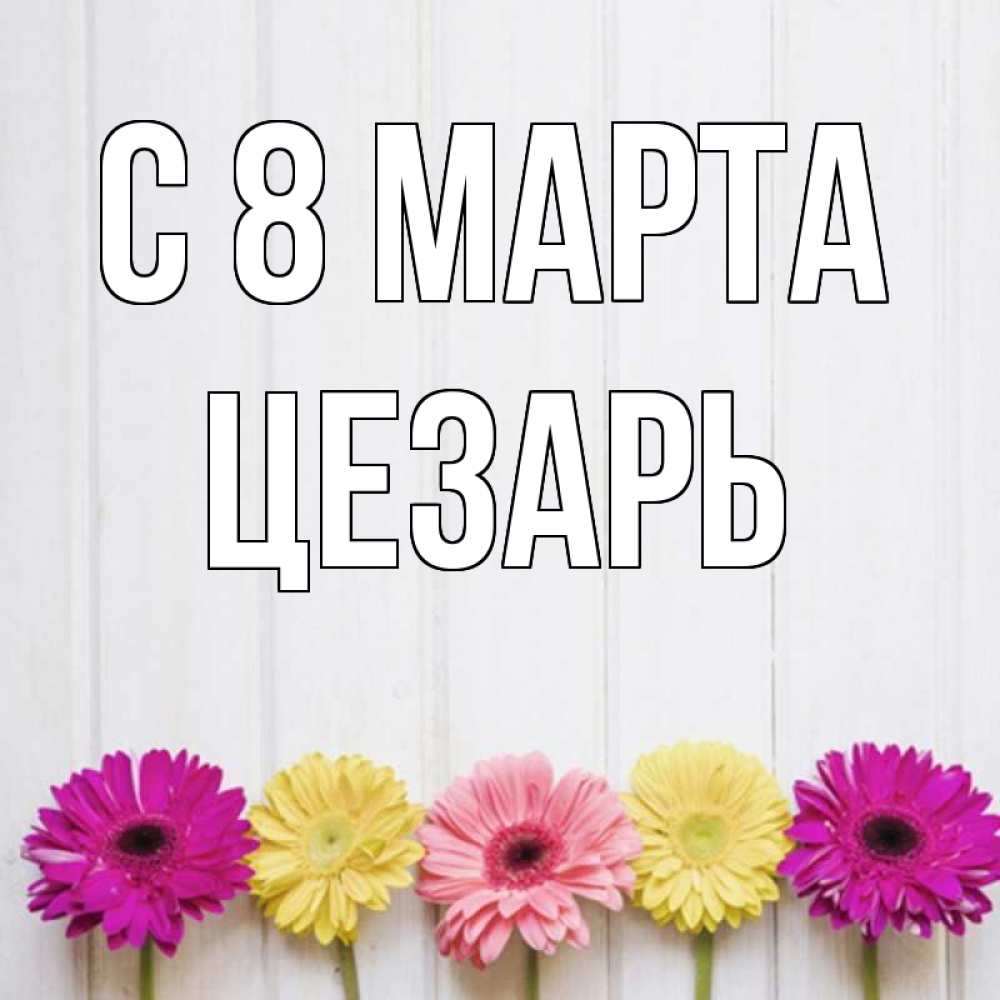 Открытка на каждый день с именем, Цезарь С 8 МАРТА женщинам 1 Прикольная открытка с пожеланием онлайн скачать бесплатно 