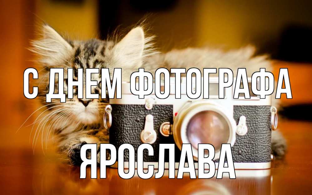 Открытка на каждый день с именем, Ярослава С днем фотографа с днем фотографа Прикольная открытка с пожеланием онлайн скачать бесплатно 