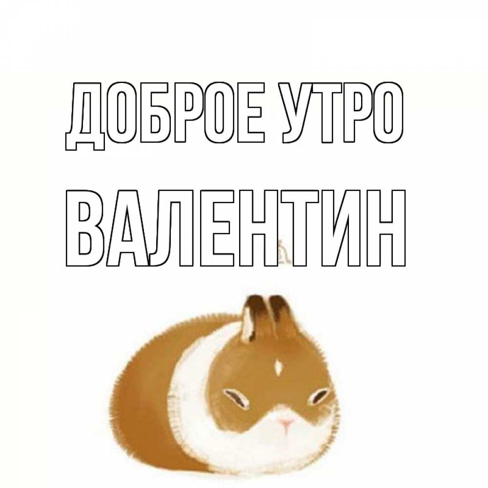 Открытка на каждый день с именем, Валентин Доброе утро хорошего утречка Прикольная открытка с пожеланием онлайн скачать бесплатно 