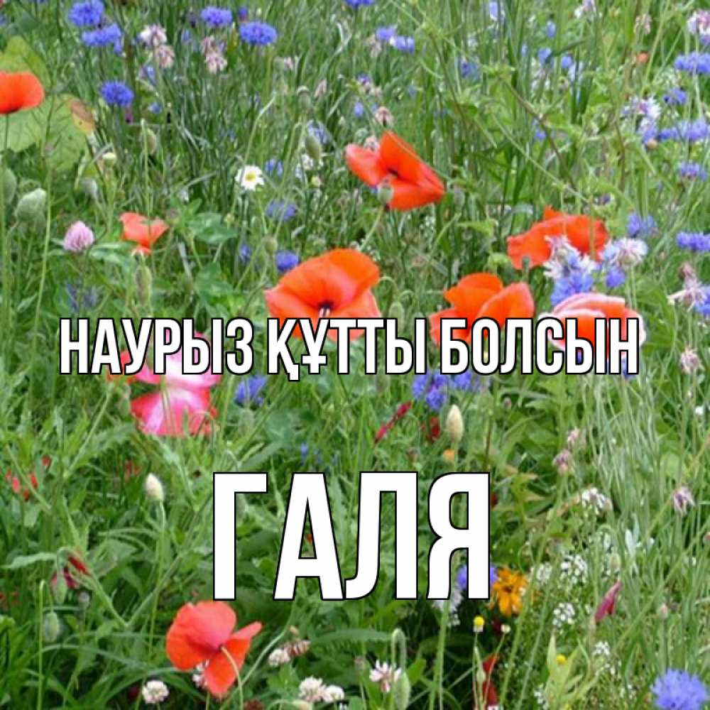 Картинка Наурыз құтты болсын, Галя