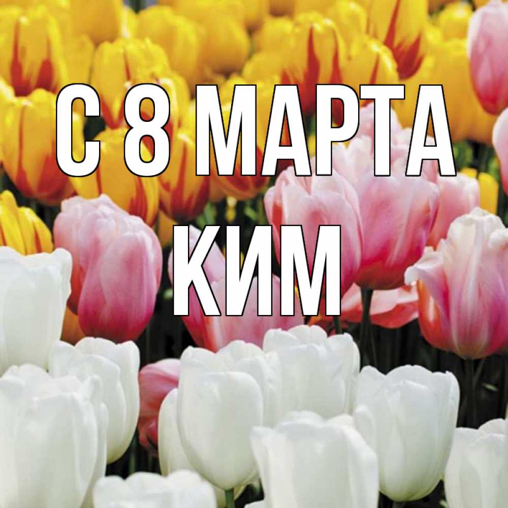 Открытка на каждый день с именем, Ким С 8 марта разноцветные цветы Прикольная открытка с пожеланием онлайн скачать бесплатно 