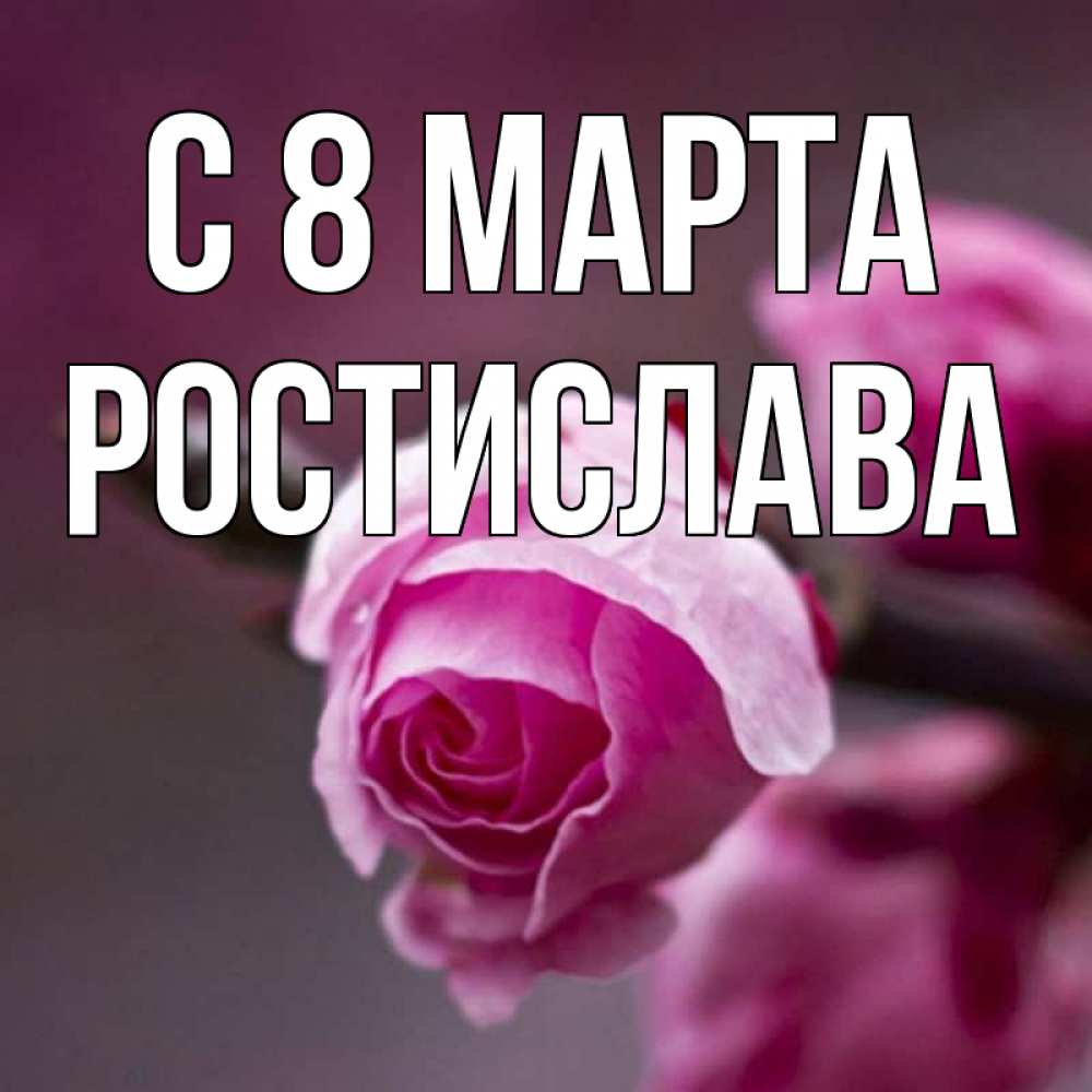 Открытка на каждый день с именем, Ростислава С 8 марта весна Прикольная открытка с пожеланием онлайн скачать бесплатно 