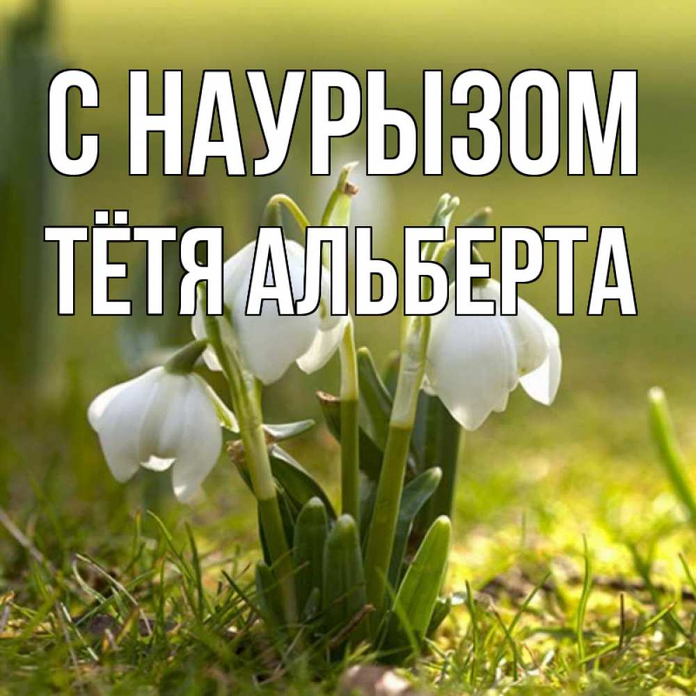 Открытка на каждый день с именем, Тётя-Альберта С наурызом ранние цветы 2 Прикольная открытка с пожеланием онлайн скачать бесплатно 