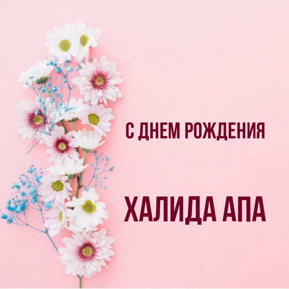 С днём рождения резеда апа. С днем рождения резеда апа открытка. Апа с днем рождения картинки. Поздравления с днём рождениягюзель. С днем рождения слон.