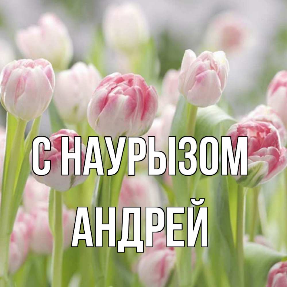 Открытка на каждый день с именем, Андрей С наурызом цветы Прикольная открытка с пожеланием онлайн скачать бесплатно 