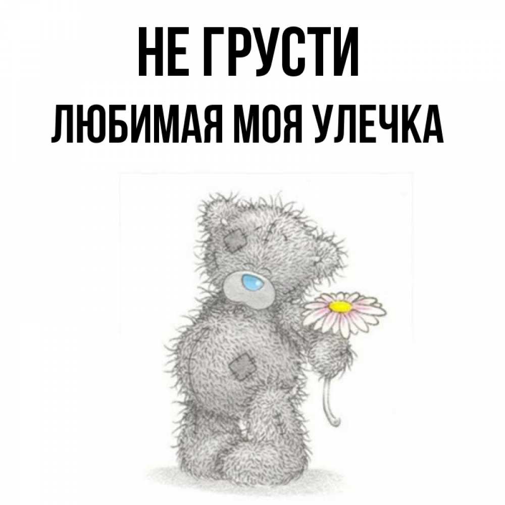 Картинка мишка не грусти