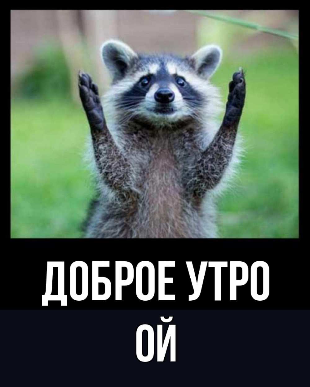 Открытка на каждый день с именем, Ой Доброе утро хорошее настроение утречком Прикольная открытка с пожеланием онлайн скачать бесплатно 