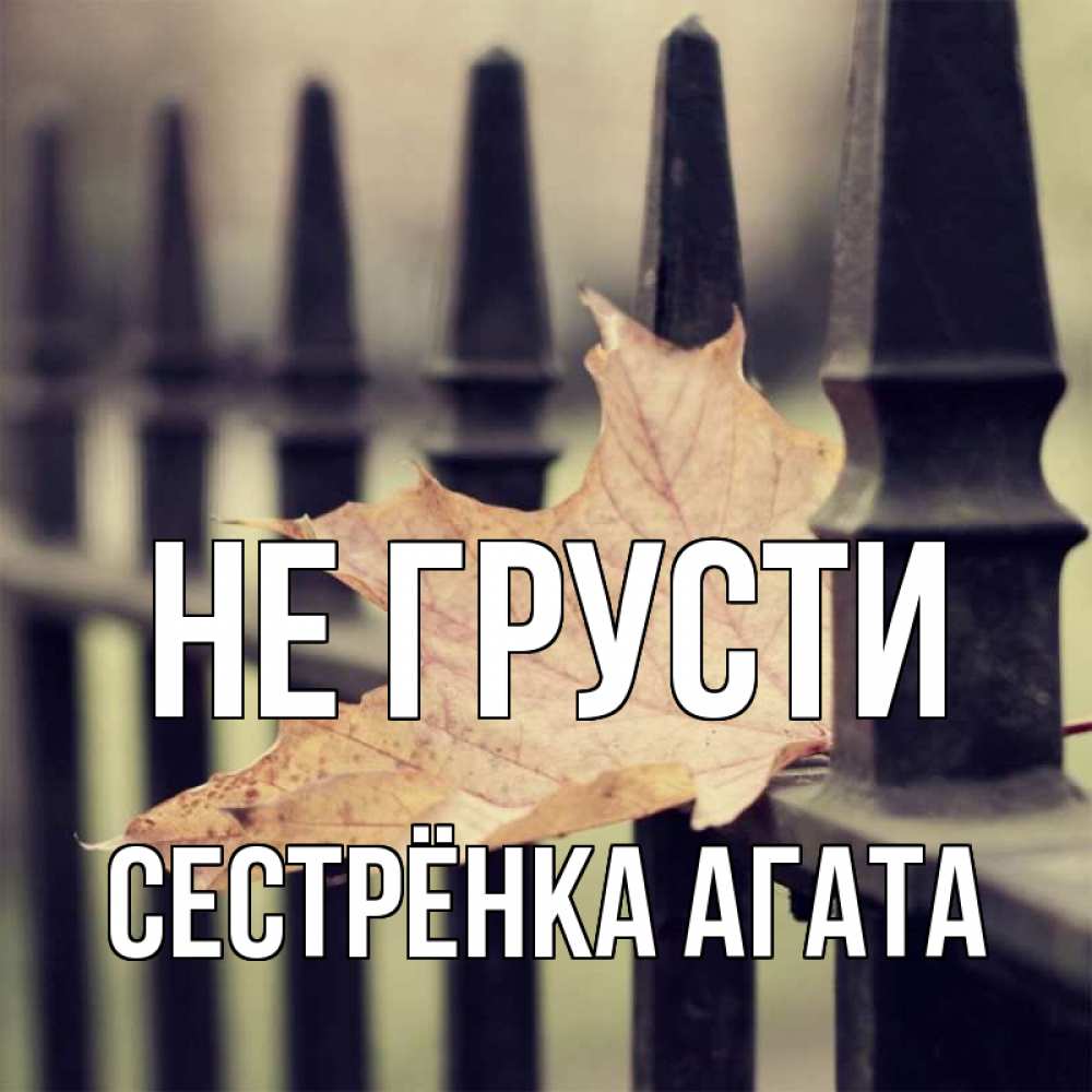 Открытка на каждый день с именем, Сестрёнка-Агата Не грусти лист клена Прикольная открытка с пожеланием онлайн скачать бесплатно 