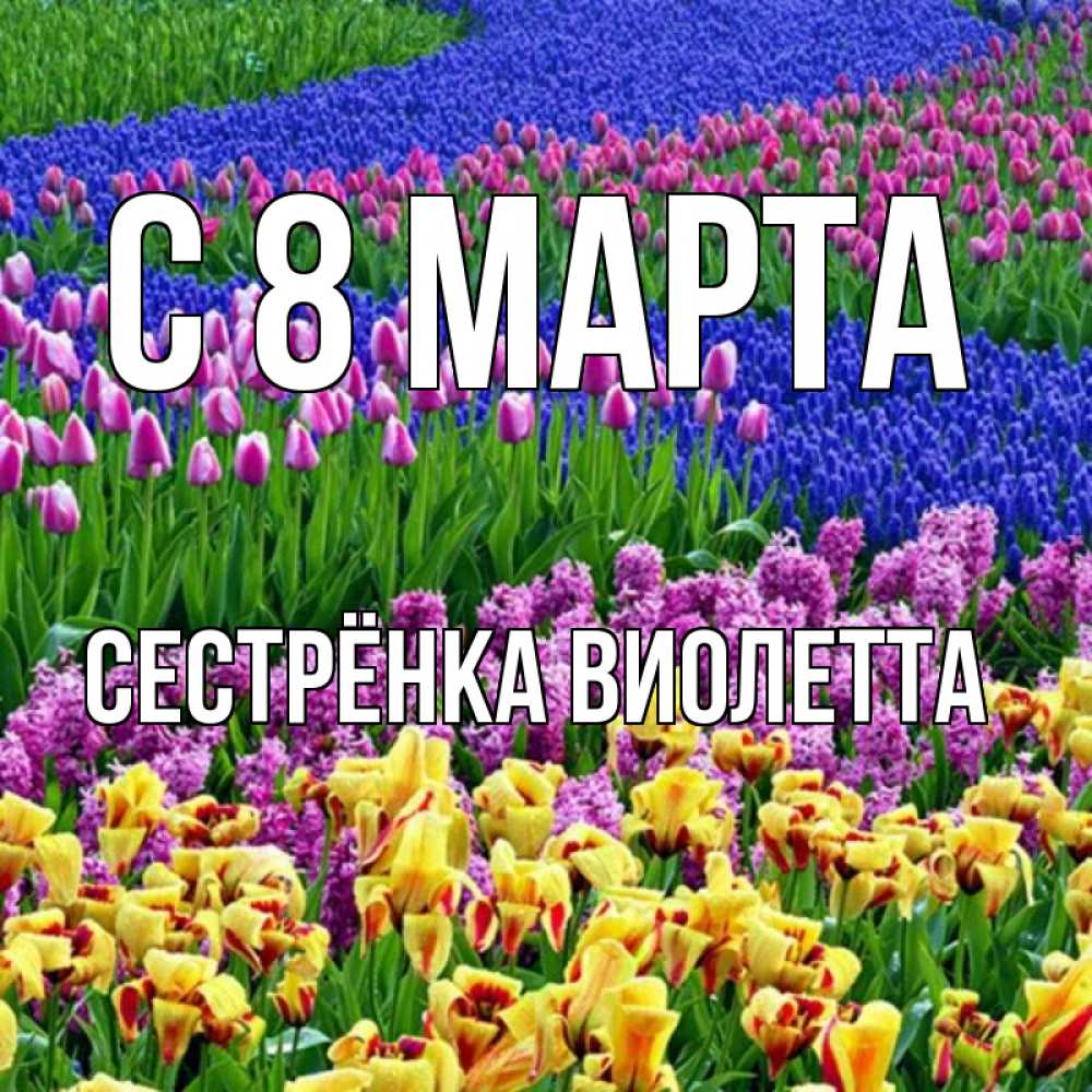 Открытка на каждый день с именем, Сестрёнка-Виолетта С 8 МАРТА цветы Прикольная открытка с пожеланием онлайн скачать бесплатно 