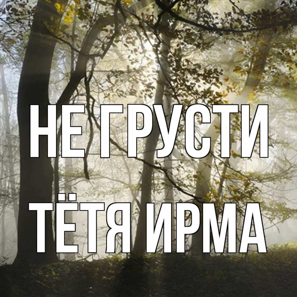 Открытка на каждый день с именем, Тётя-Ирма Не грусти лес и свет Прикольная открытка с пожеланием онлайн скачать бесплатно 