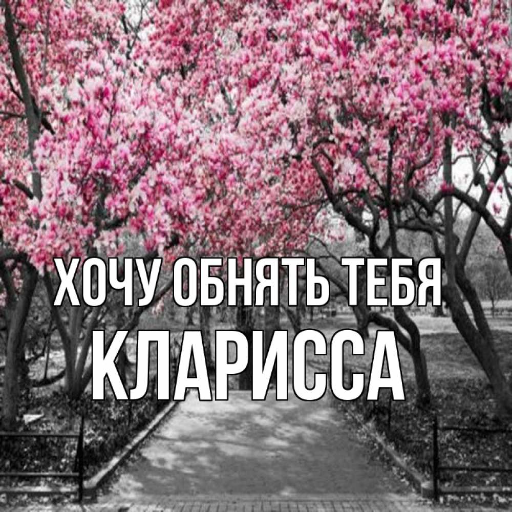 Открытка на каждый день с именем, Кларисса Хочу обнять тебя обработанное фото Прикольная открытка с пожеланием онлайн скачать бесплатно 