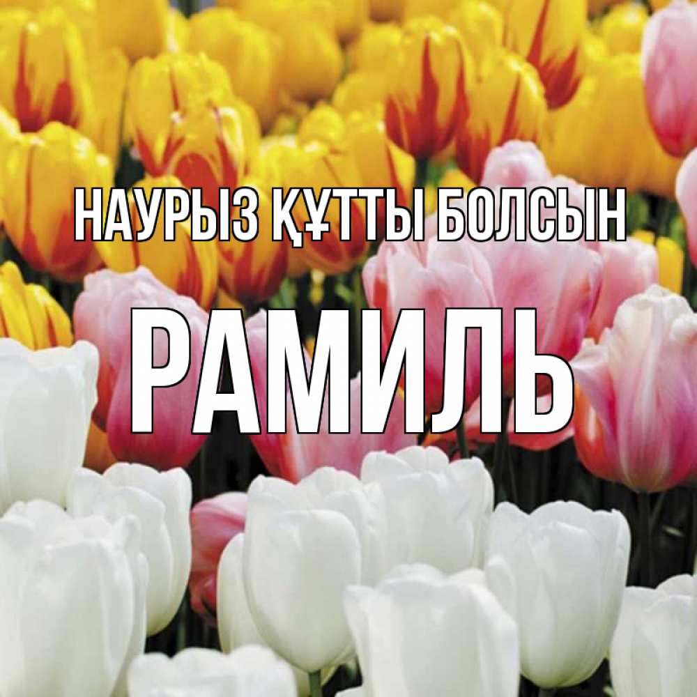 Открытка на каждый день с именем, Рамиль Наурыз құтты болсын разноцветные цветы Прикольная открытка с пожеланием онлайн скачать бесплатно 