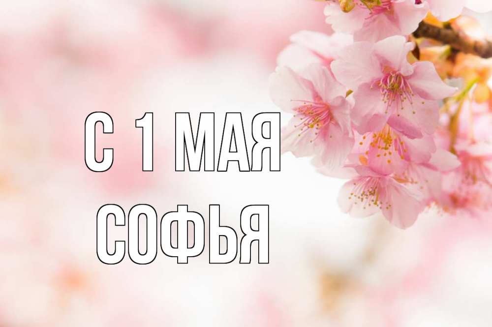 Открытка на каждый день с именем, Софья С 1 мая С 1 мая Прикольная открытка с пожеланием онлайн скачать бесплатно 