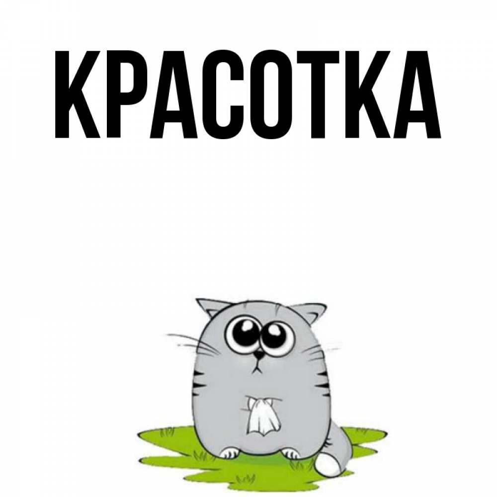 Открытка на каждый день с именем, красотка Главная грустный котяра Прикольная открытка с пожеланием онлайн скачать бесплатно 