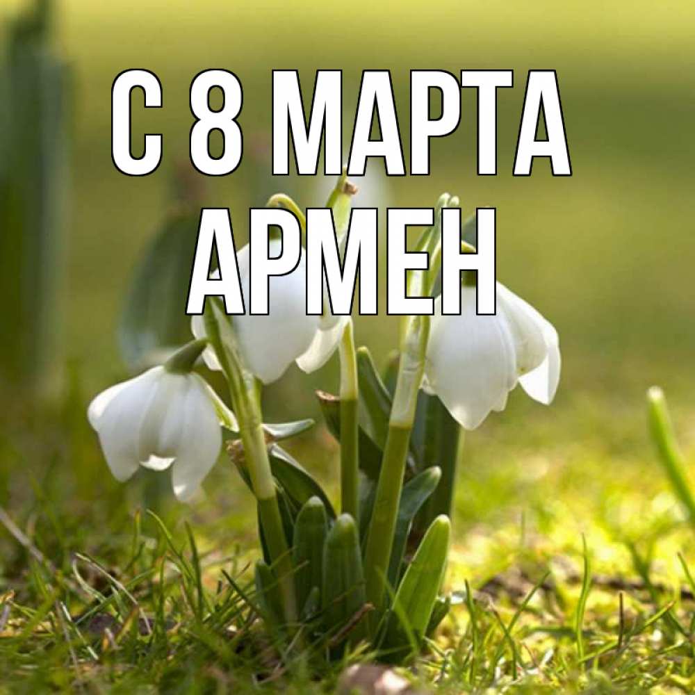 Открытка на каждый день с именем, Армен С 8 МАРТА ранние цветы 2 Прикольная открытка с пожеланием онлайн скачать бесплатно 