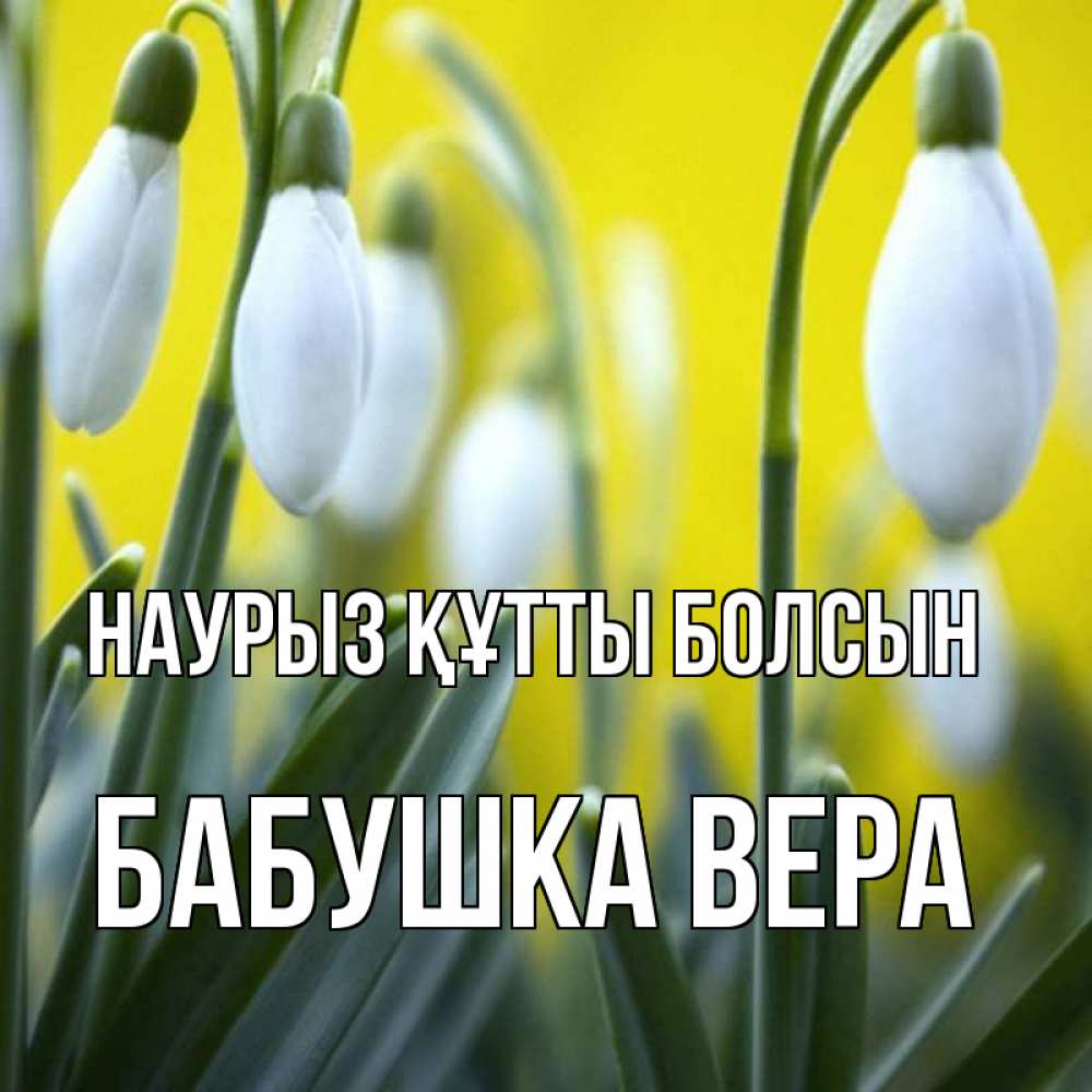 Открытка на каждый день с именем, Бабушка-Вера Наурыз құтты болсын весенние цветы Прикольная открытка с пожеланием онлайн скачать бесплатно 