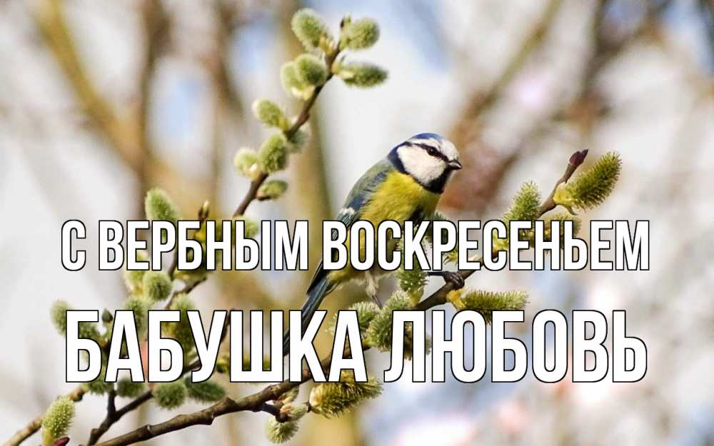 Открытка на каждый день с именем, Бабушка-Любовь С вербным воскресеньем верба Прикольная открытка с пожеланием онлайн скачать бесплатно 