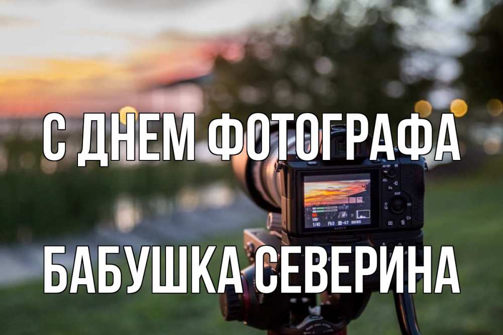 Открытка на каждый день с именем, Бабушка-Северина С днем фотографа с днем фотографа Прикольная открытка с пожеланием онлайн скачать бесплатно 