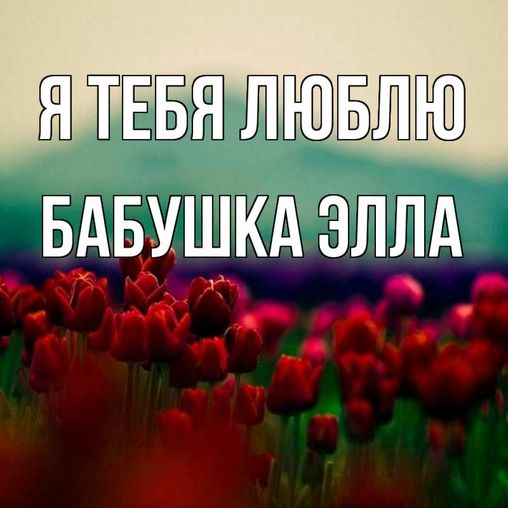 Открытка на каждый день с именем, Бабушка-Элла Я тебя люблю тюльпаны 4 Прикольная открытка с пожеланием онлайн скачать бесплатно 