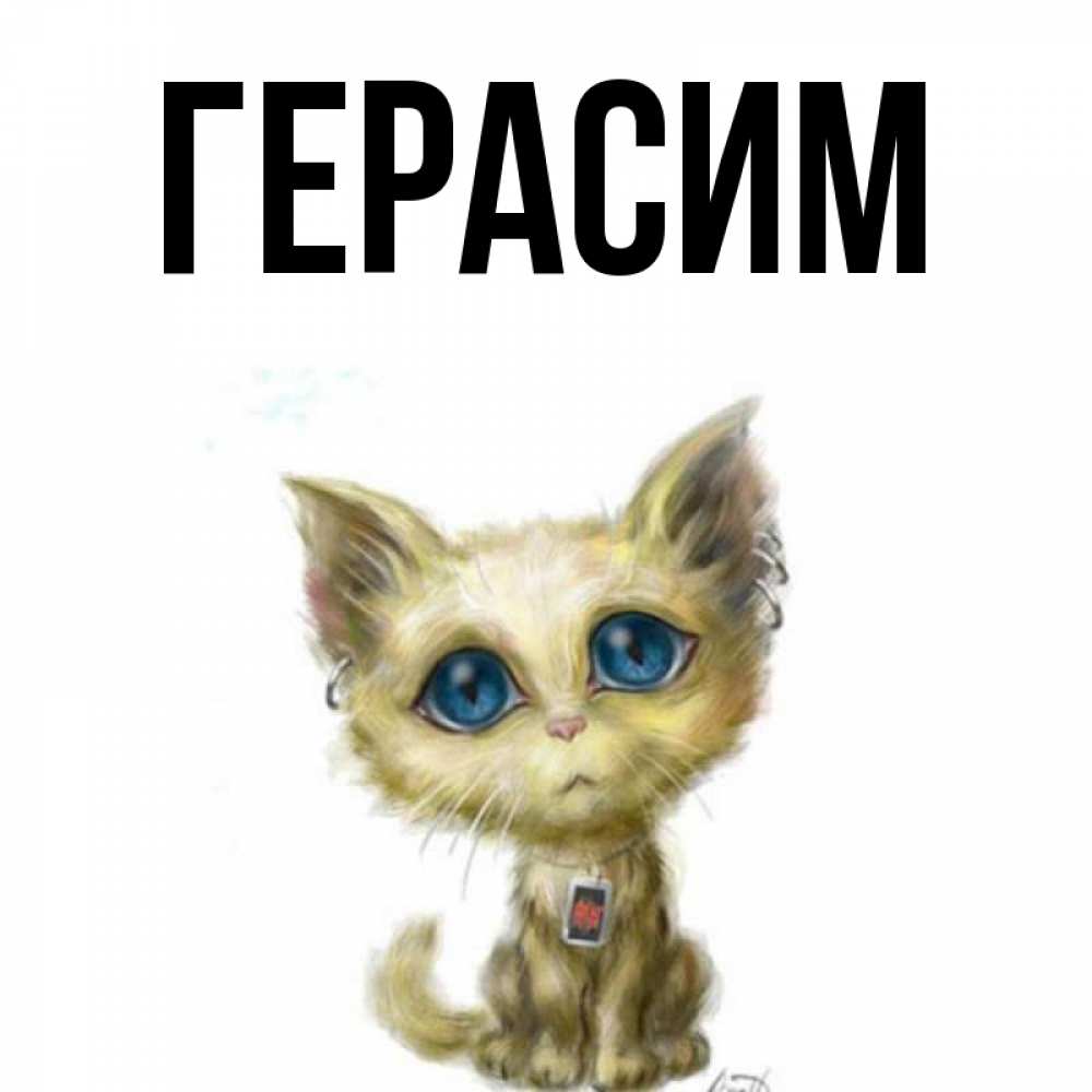 Открытка на каждый день с именем, Герасим Главная рисованный кот благодарит вас Прикольная открытка с пожеланием онлайн скачать бесплатно 