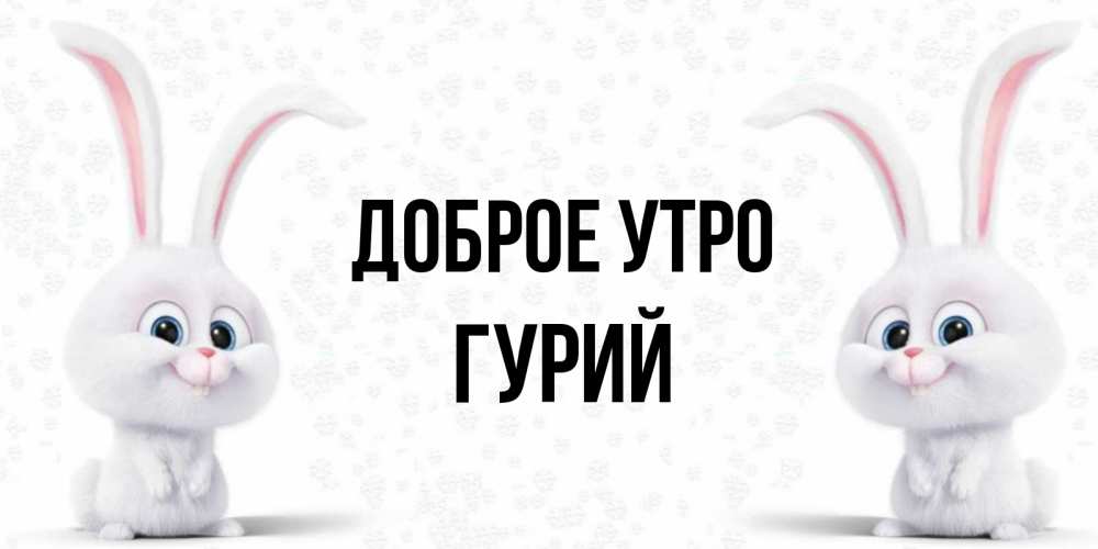 Открытка на каждый день с именем, Гурий Доброе утро кролики с длинными ушками Прикольная открытка с пожеланием онлайн скачать бесплатно 